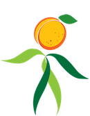 Wild Apricot130